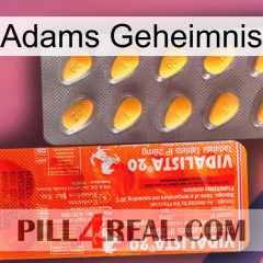 Adams Secret new01